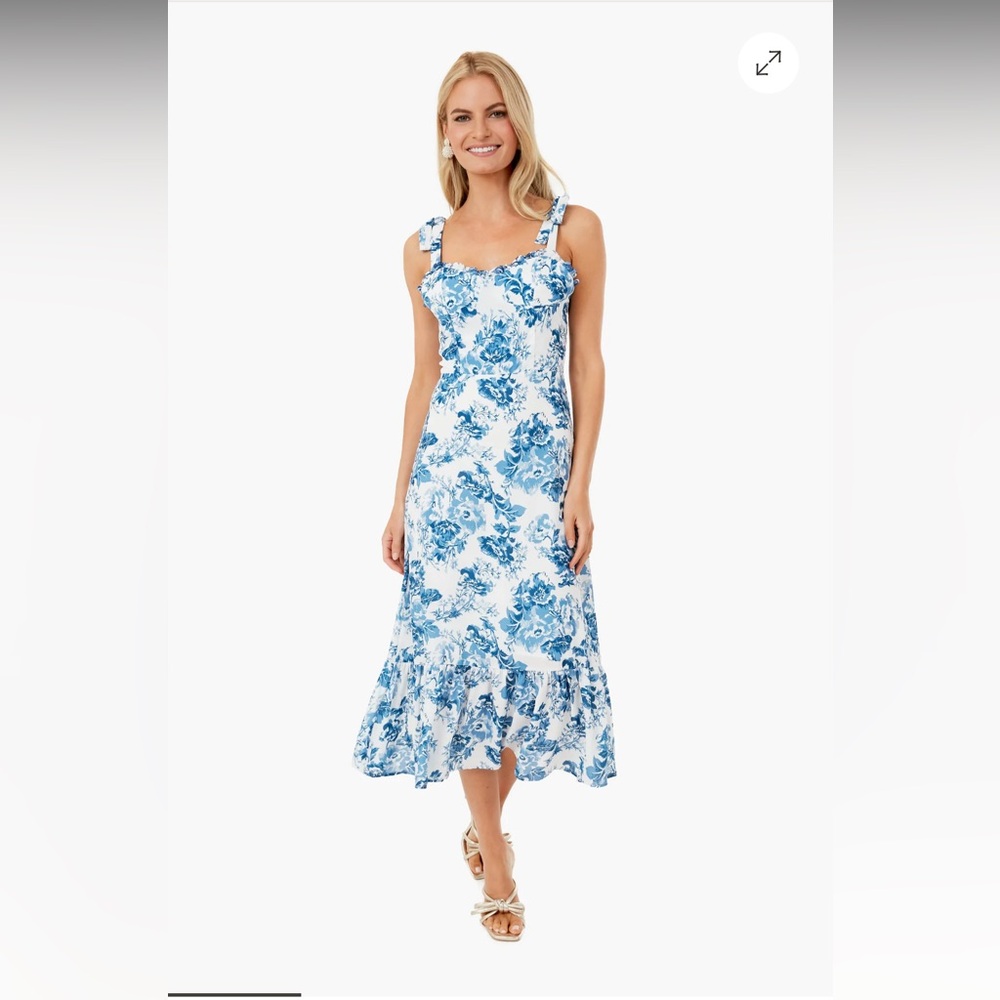 Tuckernuck Blue and White Floral Midi Dress